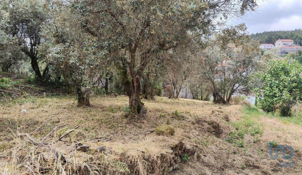 Moradia para Venda em Castanheira de Pêra e Coentral Foto 14