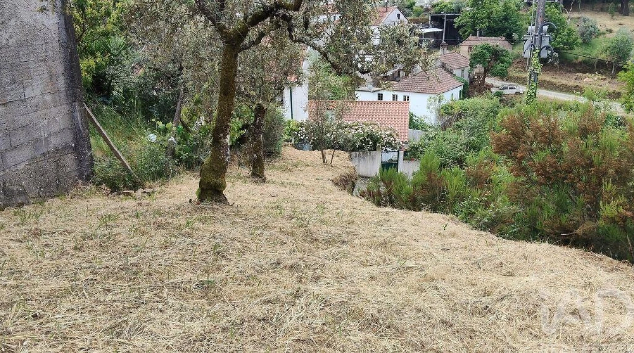 Moradia para Venda em Castanheira de Pêra e Coentral Foto 18