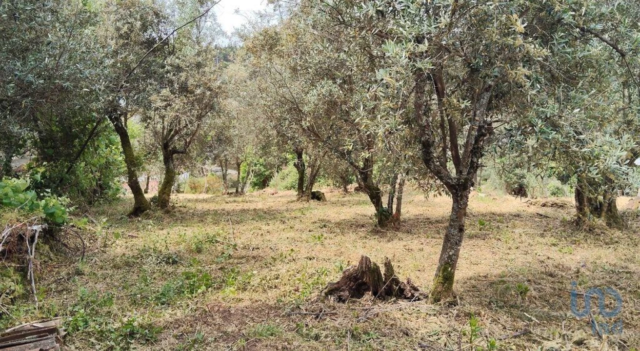 Moradia para Venda em Castanheira de Pêra e Coentral Foto 3