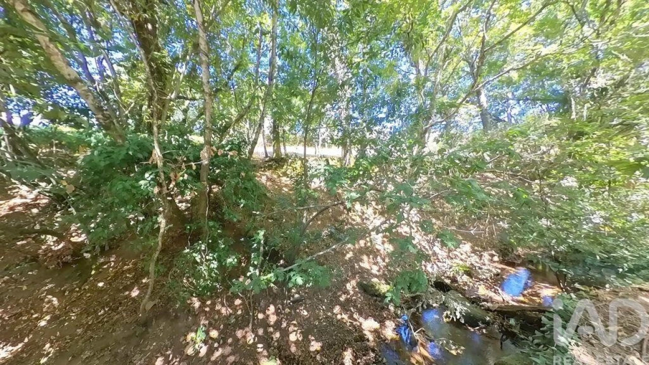 Moradia para Venda em Castanheira de Pêra e Coentral Foto 16