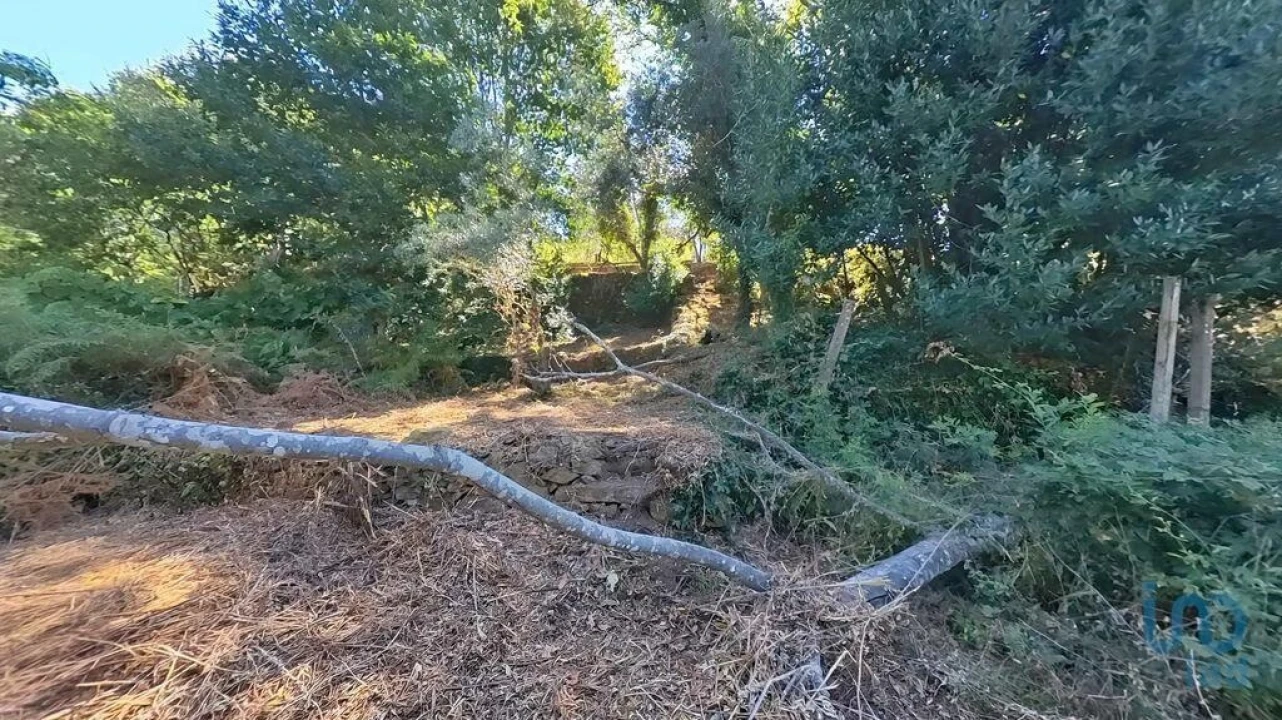 Moradia para Venda em Castanheira de Pêra e Coentral Foto 9