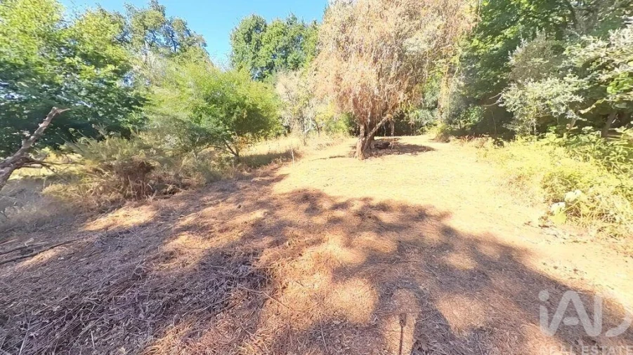 Moradia para Venda em Castanheira de Pêra e Coentral Foto 25