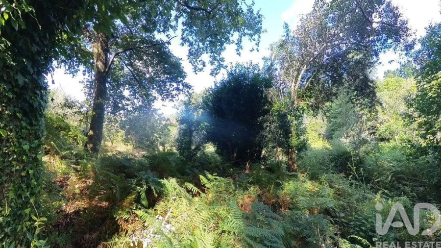 Moradia para Venda em Castanheira de Pêra e Coentral Foto 17