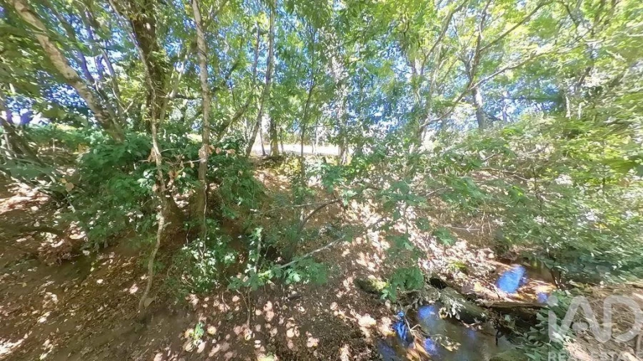 Moradia para Venda em Castanheira de Pêra e Coentral Foto 16