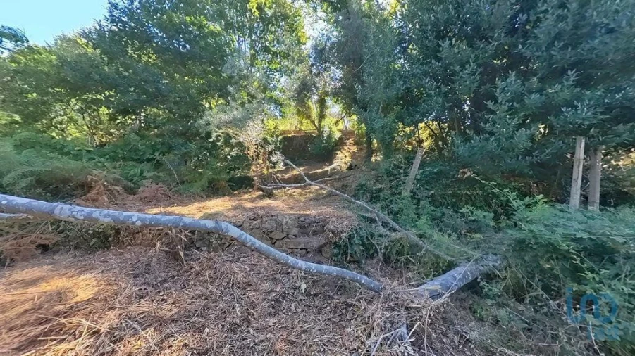 Moradia para Venda em Castanheira de Pêra e Coentral Foto 9