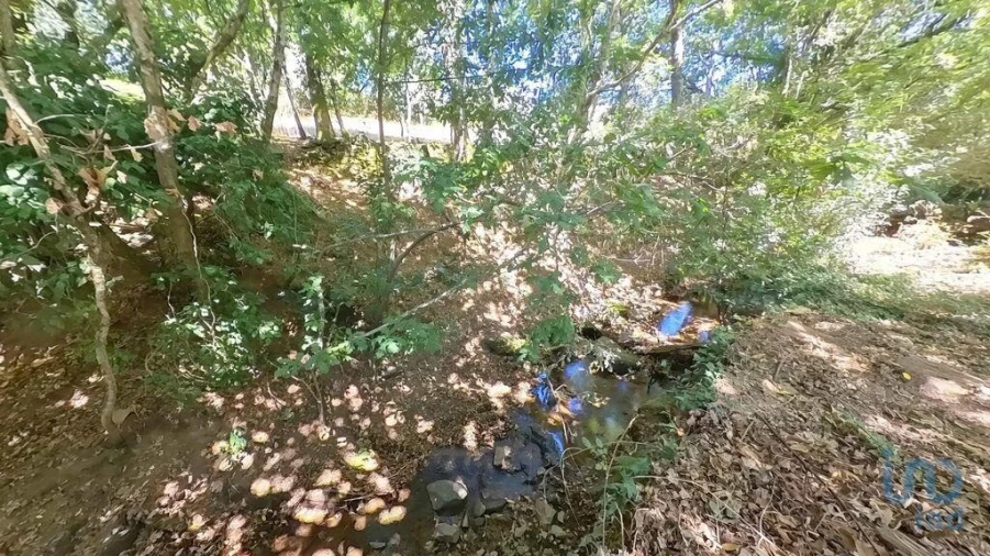 Moradia para Venda em Castanheira de Pêra e Coentral Foto 11