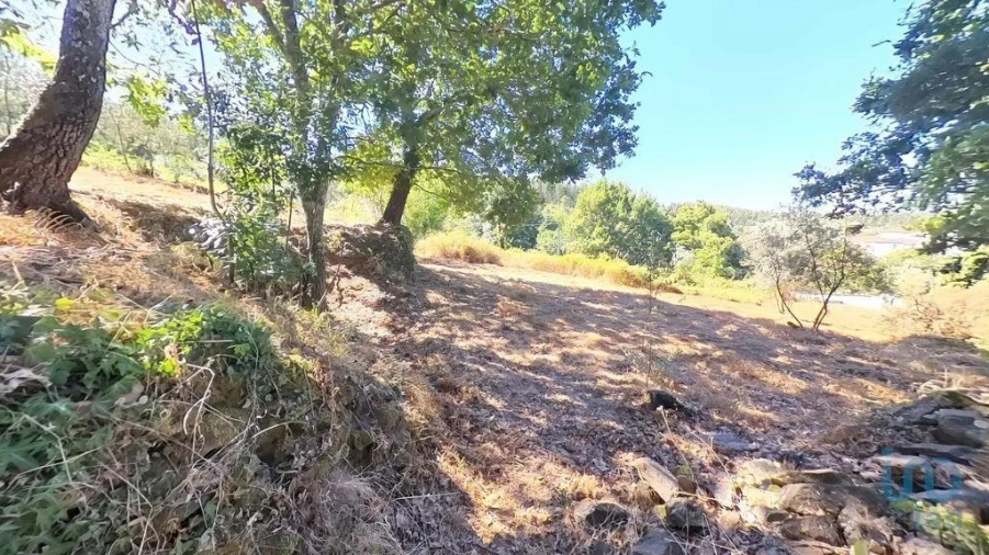 Moradia para Venda em Castanheira de Pêra e Coentral Foto 7
