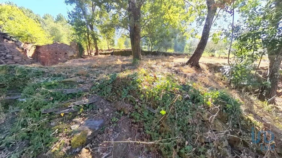 Moradia para Venda em Castanheira de Pêra e Coentral Foto 12