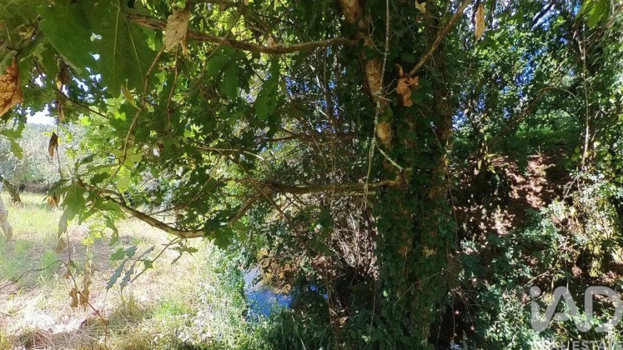 Moradia para Venda em Castanheira de Pêra e Coentral Foto 19