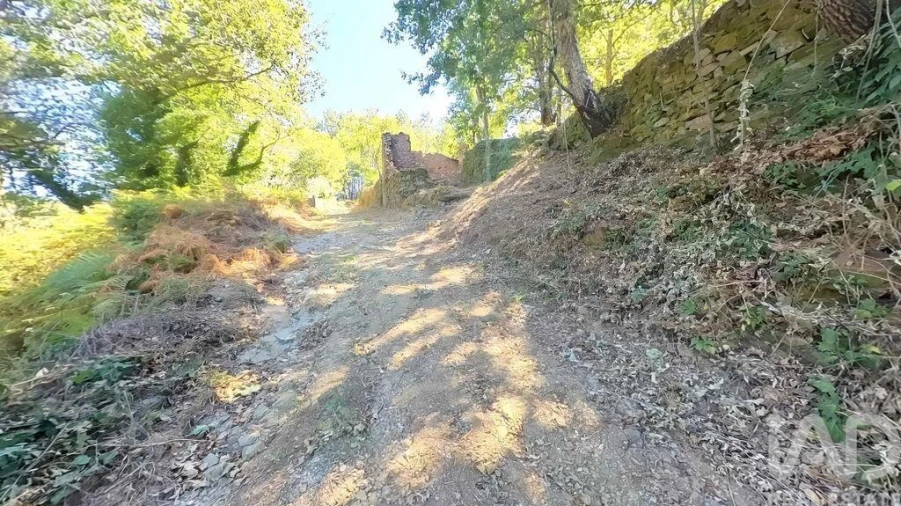 Moradia para Venda em Castanheira de Pêra e Coentral Foto 21