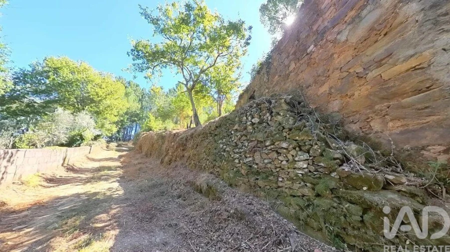 Moradia para Venda em Castanheira de Pêra e Coentral Foto 24