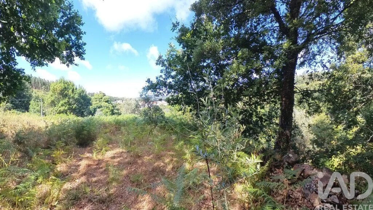 Moradia para Venda em Castanheira de Pêra e Coentral Foto 18