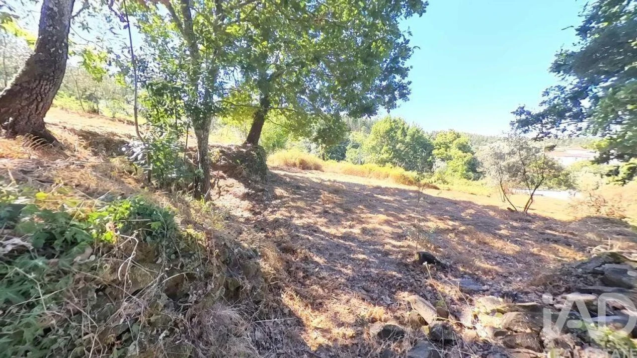 Moradia para Venda em Castanheira de Pêra e Coentral Foto 23