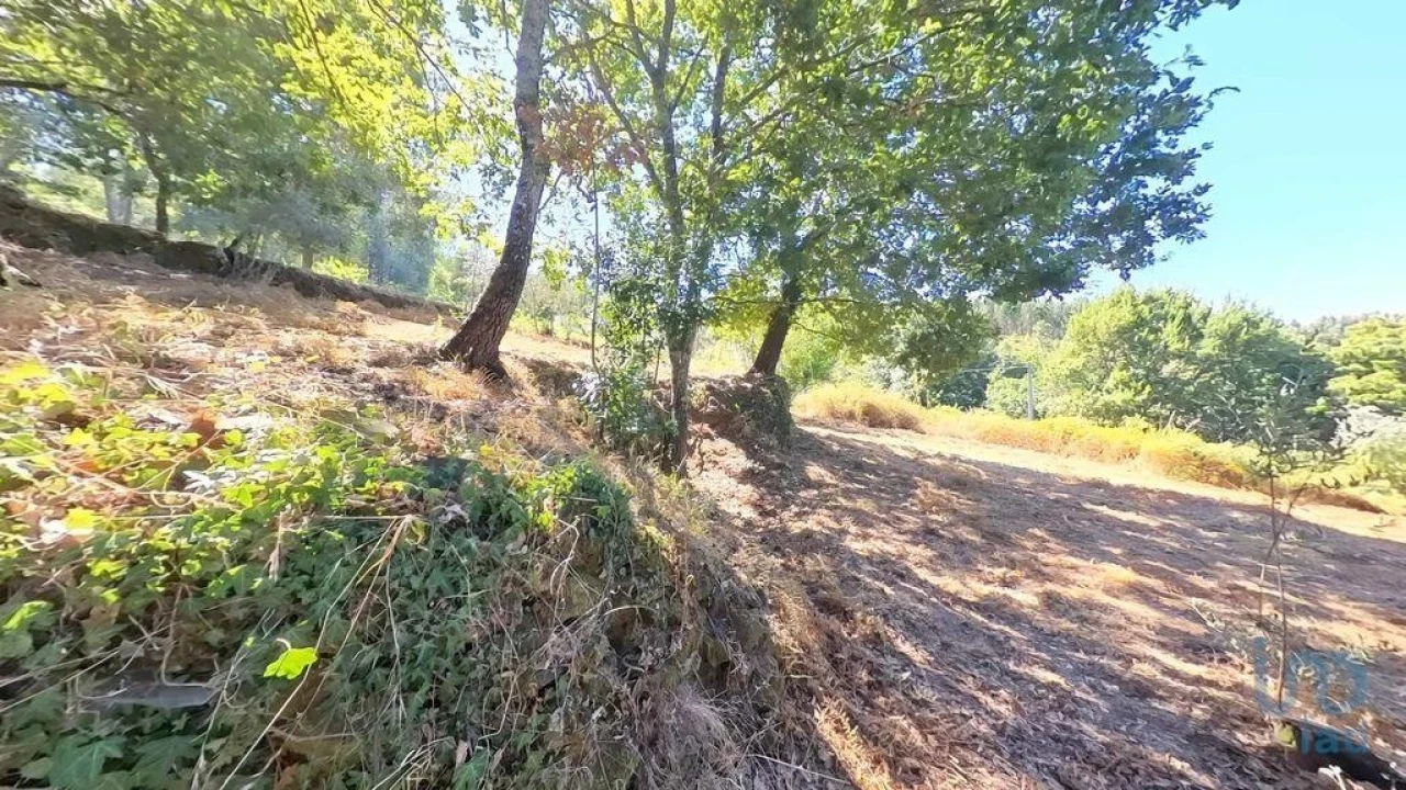 Moradia para Venda em Castanheira de Pêra e Coentral Foto 15