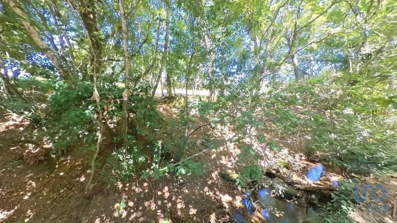 Moradia para Venda em Castanheira de Pêra e Coentral Foto 4