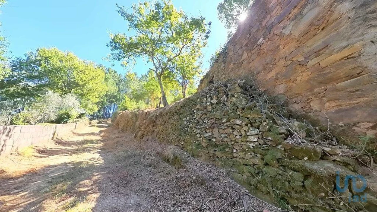 Moradia para Venda em Castanheira de Pêra e Coentral Foto 8