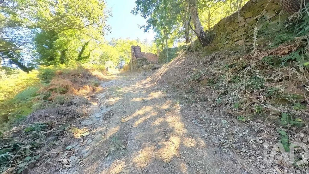Moradia para Venda em Castanheira de Pêra e Coentral Foto 21