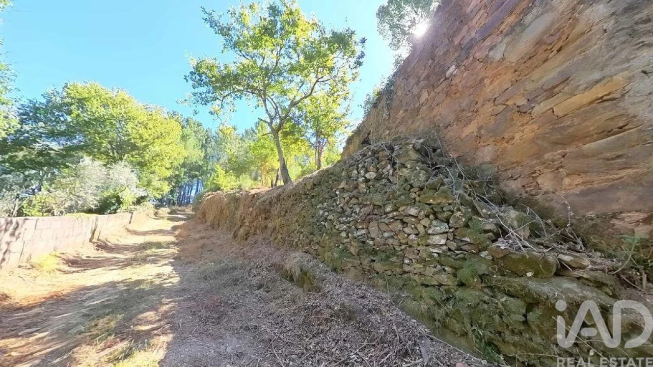 Moradia para Venda em Castanheira de Pêra e Coentral Foto 24