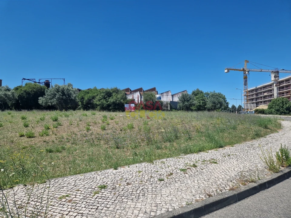 Terreno para Venda em Torres Novas (Santa Maria, Salvador e Santiago) Foto 4