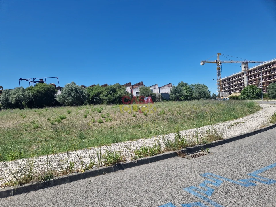 Terreno para Venda em Torres Novas (Santa Maria, Salvador e Santiago) Foto 6