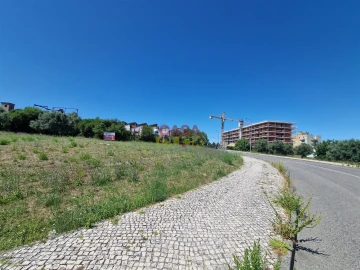 Terreno para Venda em Torres Novas (Santa Maria, Salvador e Santiago)