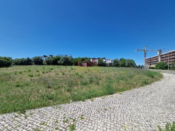 Terreno para Venda em Torres Novas (Santa Maria, Salvador e Santiago)