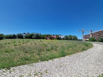 Terreno para Venda em Torres Novas (Santa Maria, Salvador e Santiago)