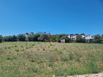 Terreno para Venda em Torres Novas (Santa Maria, Salvador e Santiago)