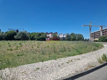 Terreno para Venda em Torres Novas (Santa Maria, Salvador e Santiago)