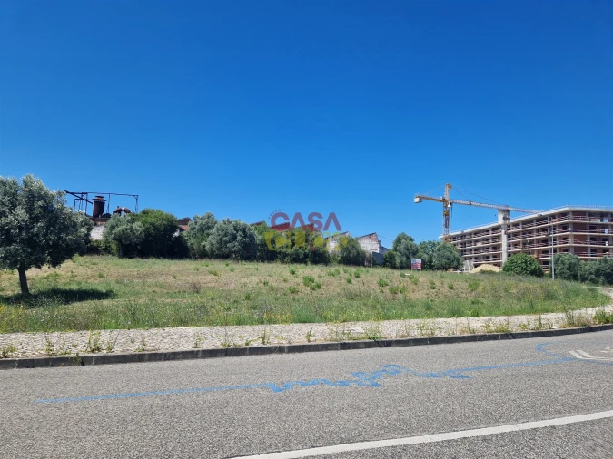 Terreno para Venda em Torres Novas (Santa Maria, Salvador e Santiago) Foto 9