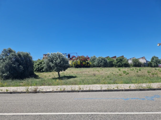 Terreno para Venda em Torres Novas (Santa Maria, Salvador e Santiago) Foto 7
