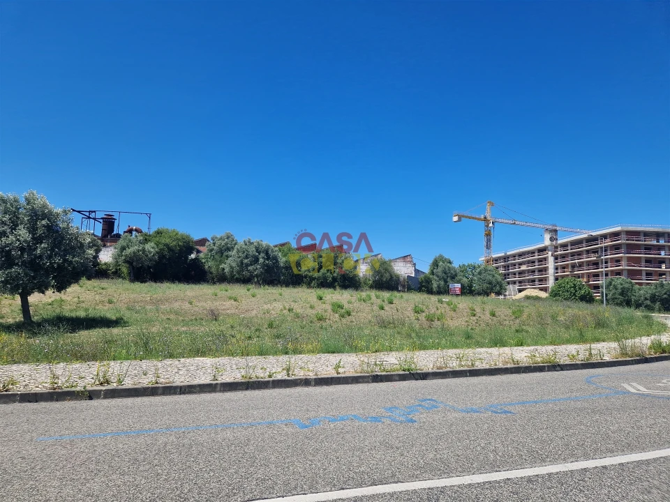 Terreno para Venda em Torres Novas (Santa Maria, Salvador e Santiago) Foto 9
