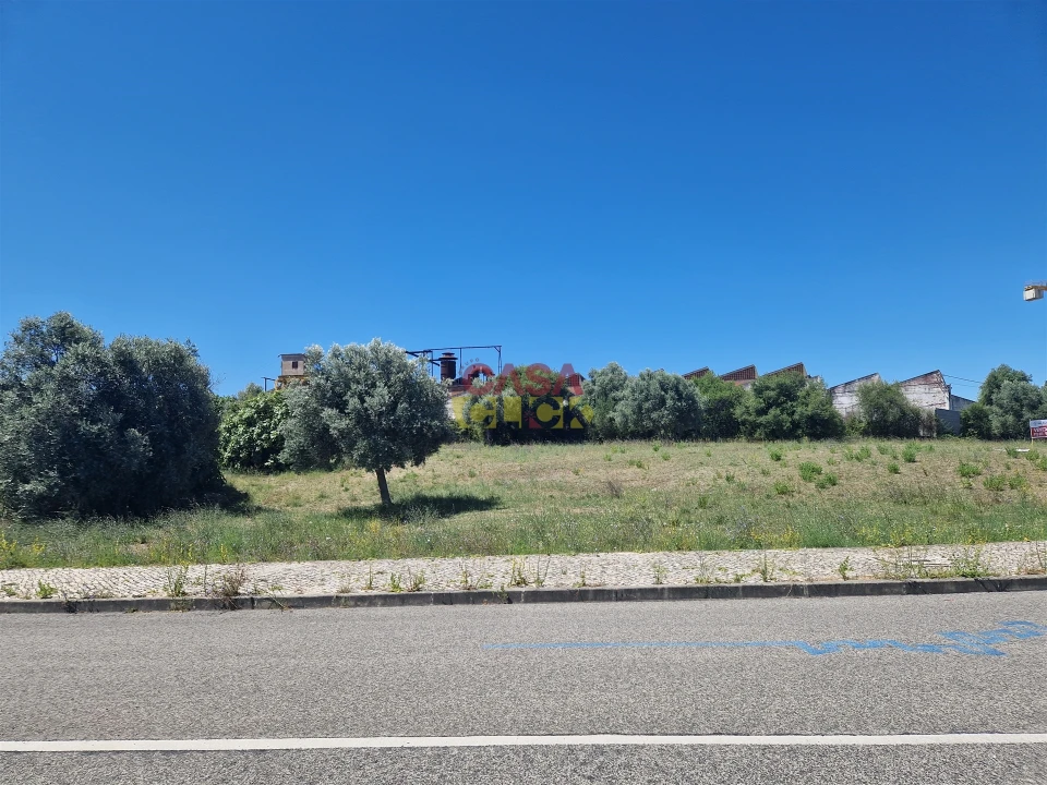 Terreno para Venda em Torres Novas (Santa Maria, Salvador e Santiago) Foto 7