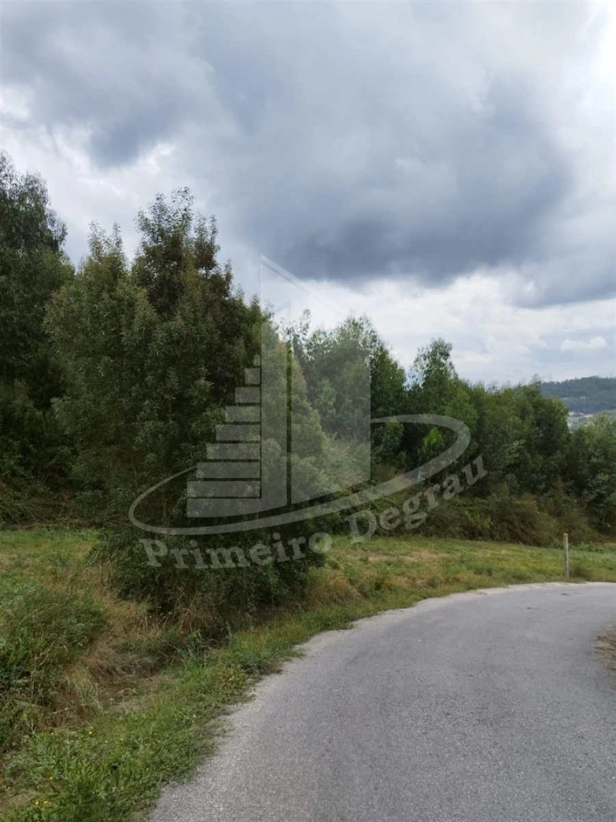 Terreno para Venda em Ribeira do Neiva Foto 14