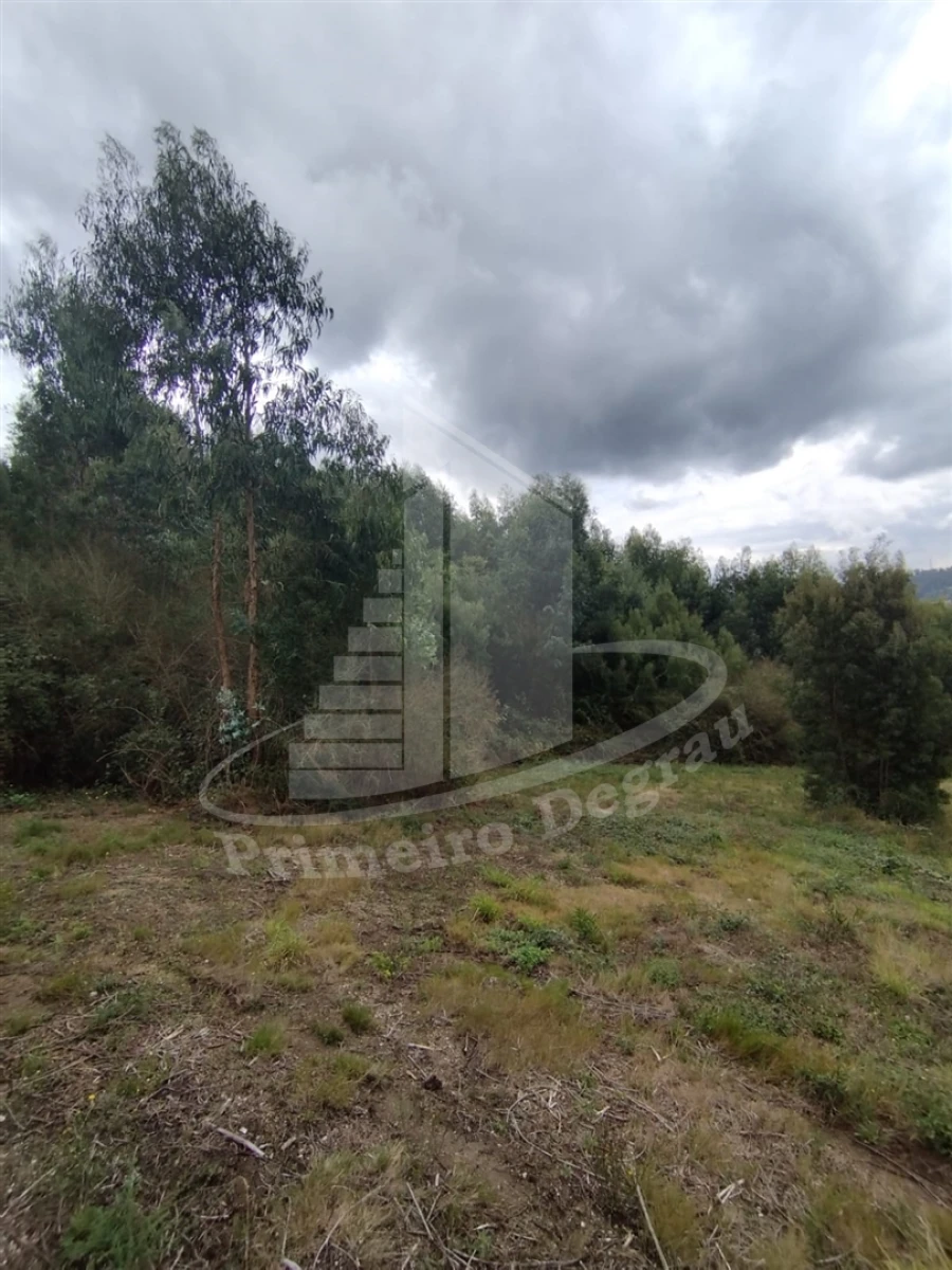 Terreno para Venda em Ribeira do Neiva Foto 10