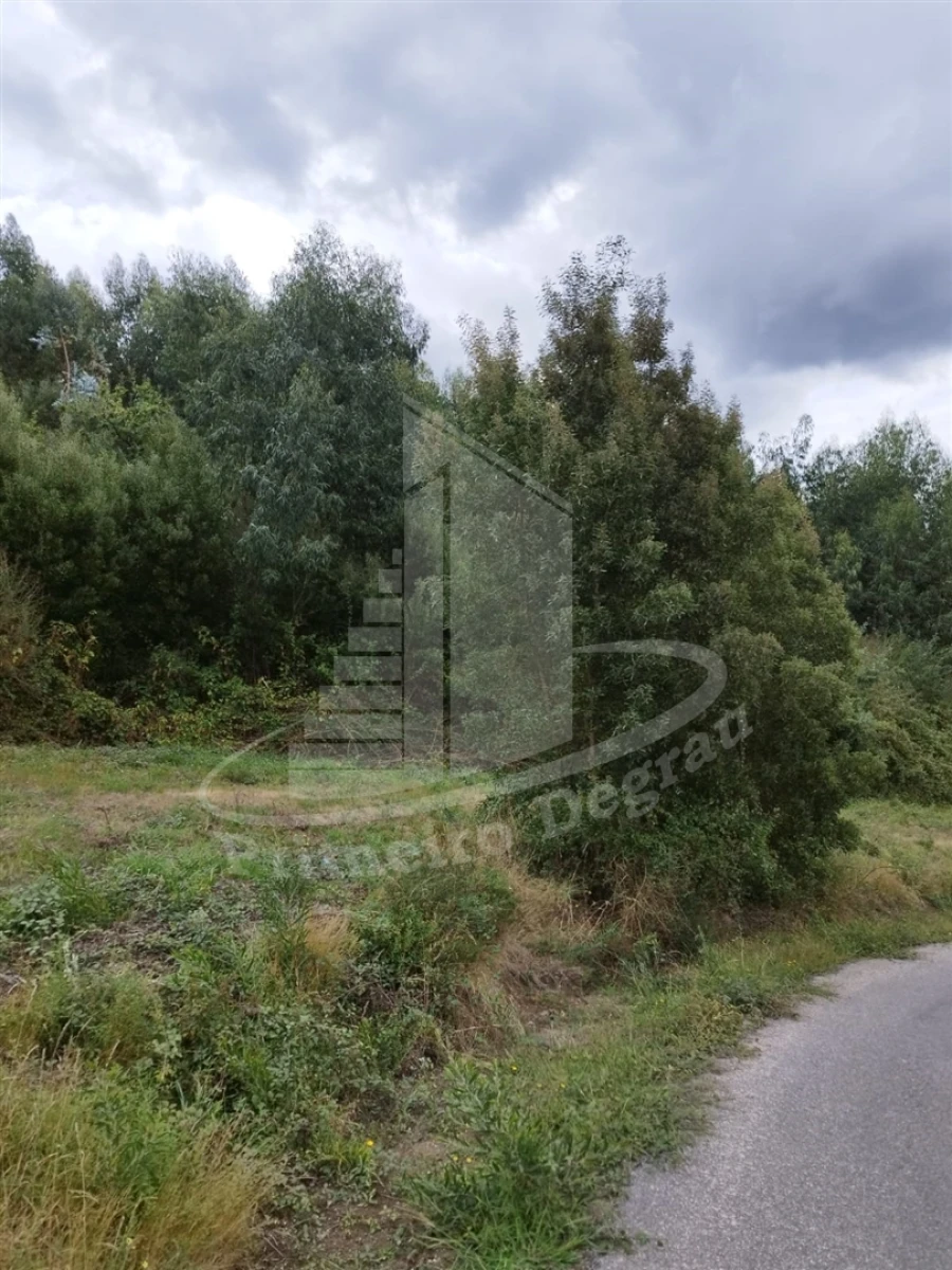 Terreno para Venda em Ribeira do Neiva Foto 15