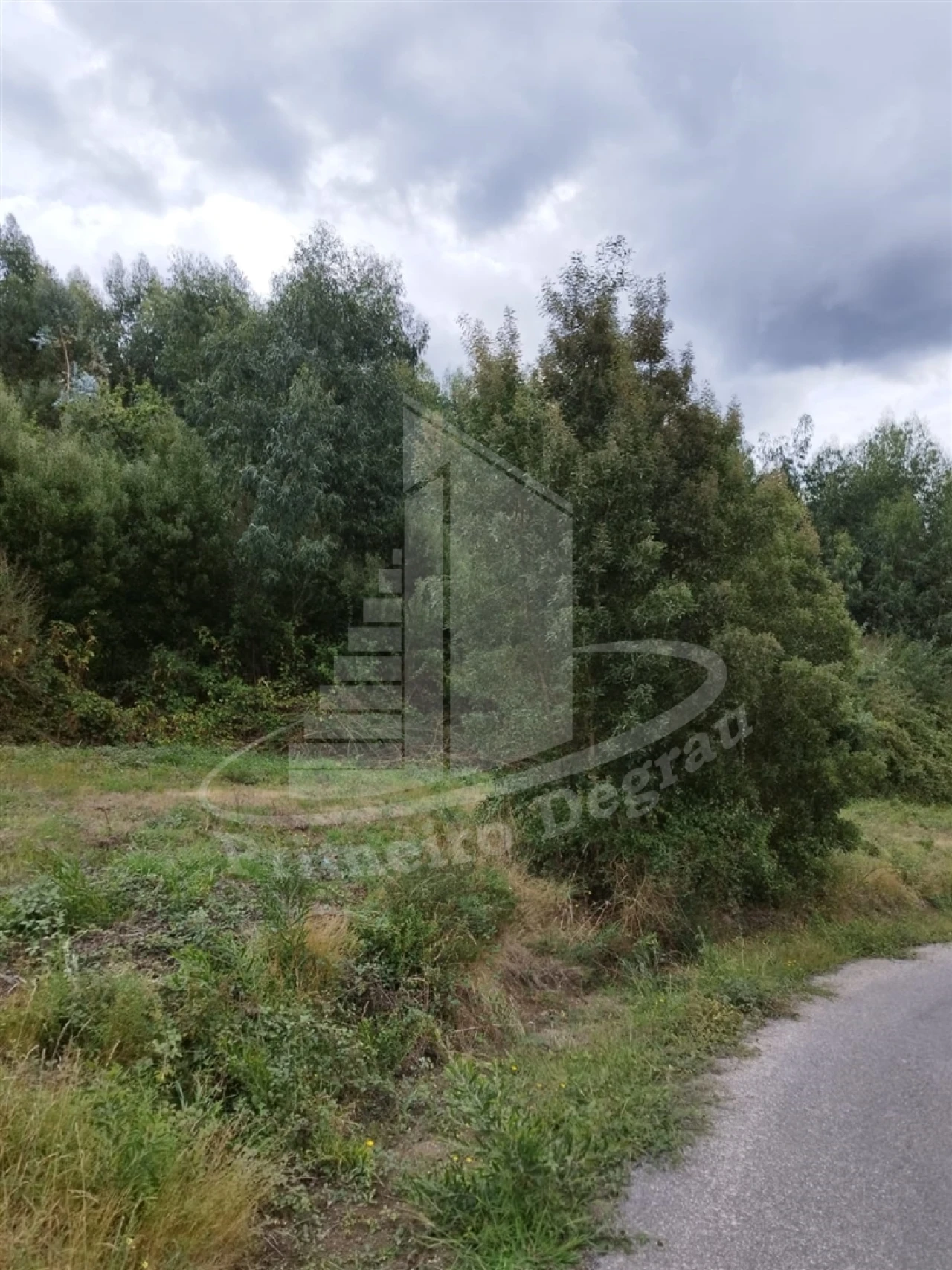 Terreno para Venda em Ribeira do Neiva Foto 15