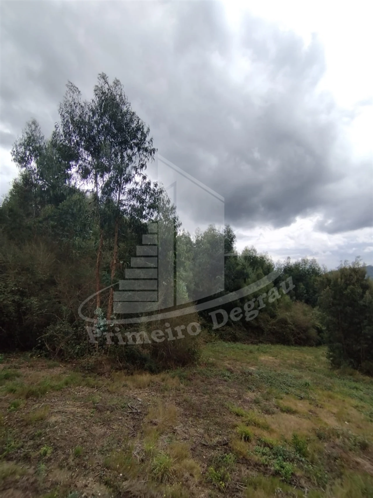 Terreno para Venda em Ribeira do Neiva Foto 9