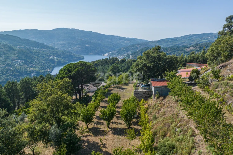 Quinta T3 para Venda em Oliveira do Douro Foto 28