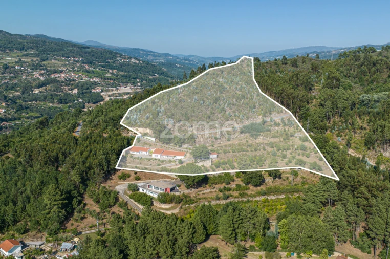 Quinta T3 para Venda em Oliveira do Douro Foto 27