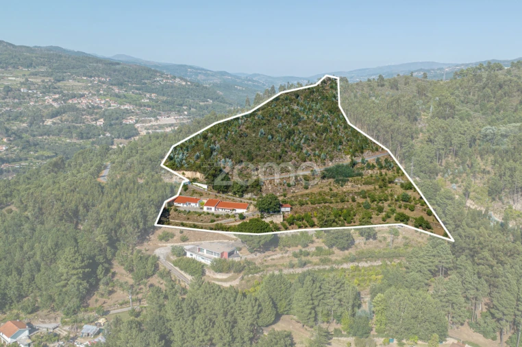 Quinta T3 para Venda em Oliveira do Douro Foto 3