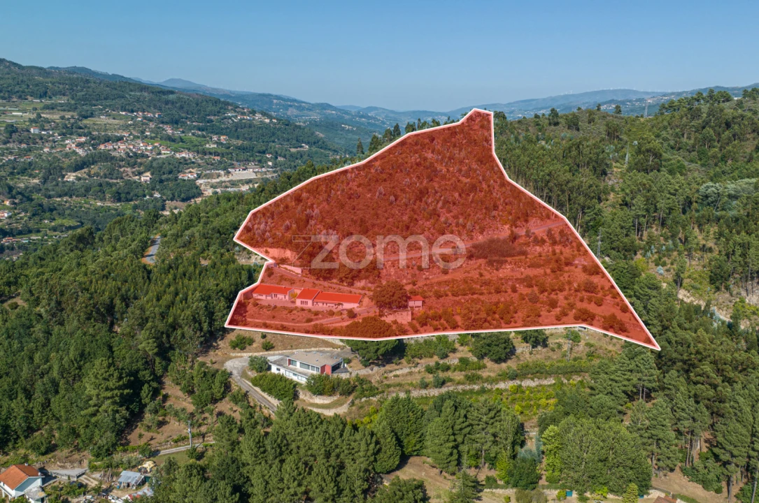 Quinta T3 para Venda em Oliveira do Douro Foto 29