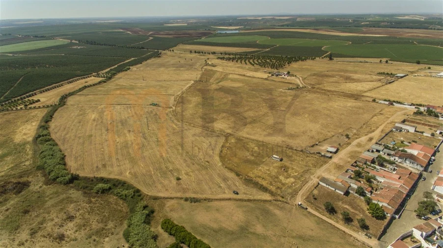Terreno Agricola ou Rústico para Venda em Baleizão Foto 4