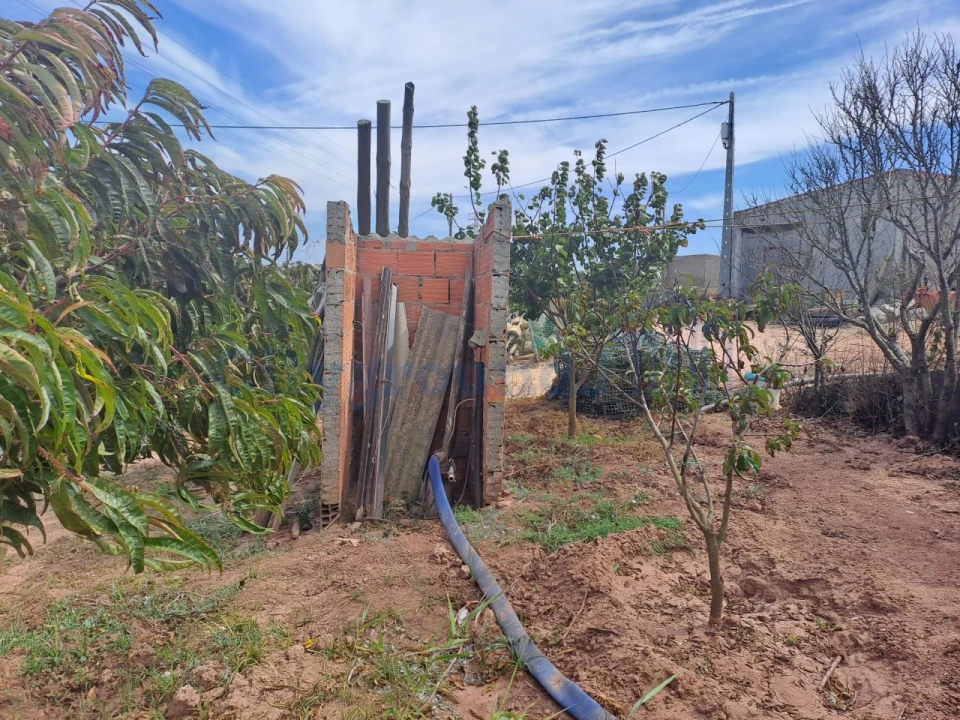 Terreno Agricola ou Rústico para Venda em Atouguia da Baleia Foto 5