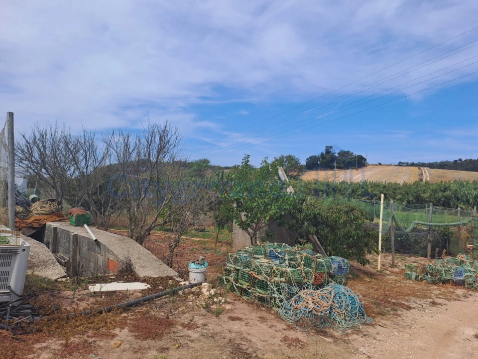 Terreno Agricola ou Rústico para Venda em Atouguia da Baleia Foto 9