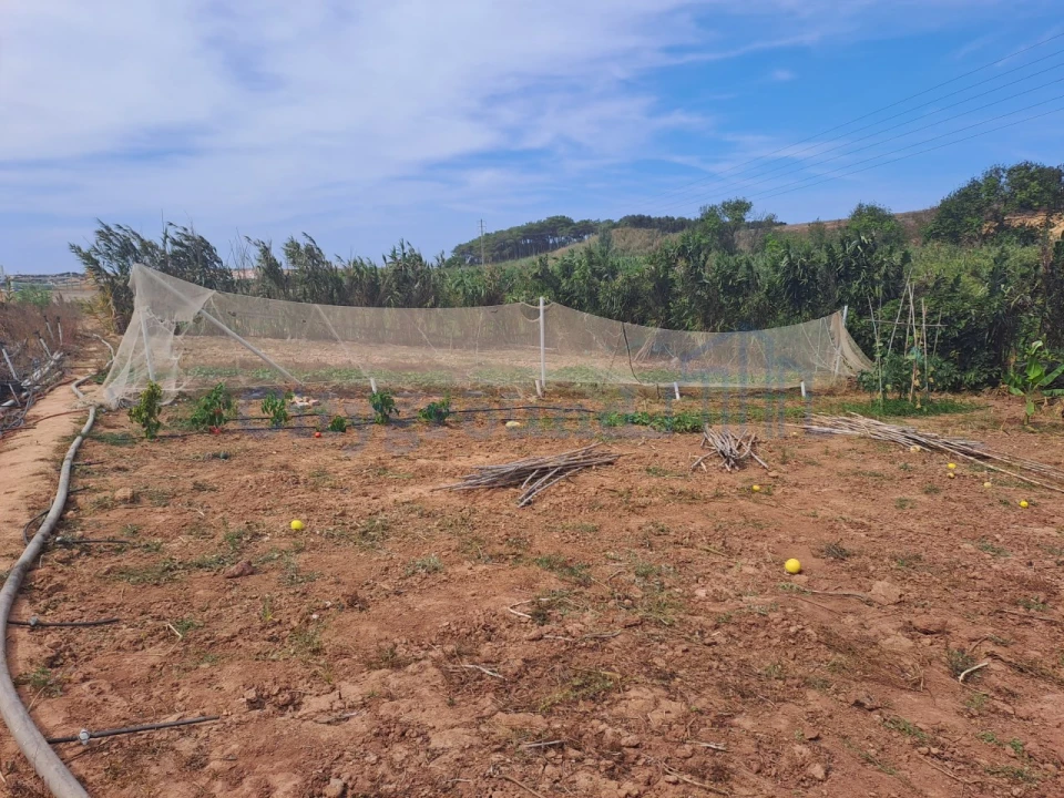 Terreno Agricola ou Rústico para Venda em Atouguia da Baleia Foto 11