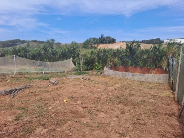 Terreno Agricola ou Rústico para Venda em Atouguia da Baleia