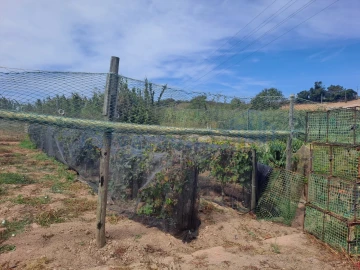 Terreno Agricola ou Rústico para Venda em Atouguia da Baleia