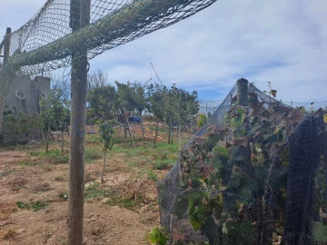 Terreno Agricola ou Rústico para Venda em Atouguia da Baleia