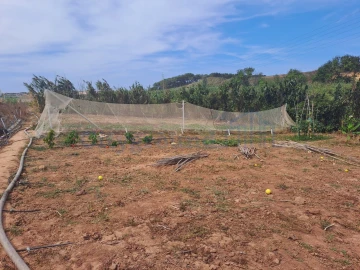 Terreno Agricola ou Rústico para Venda em Atouguia da Baleia